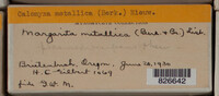 Image Associated With the Occurence